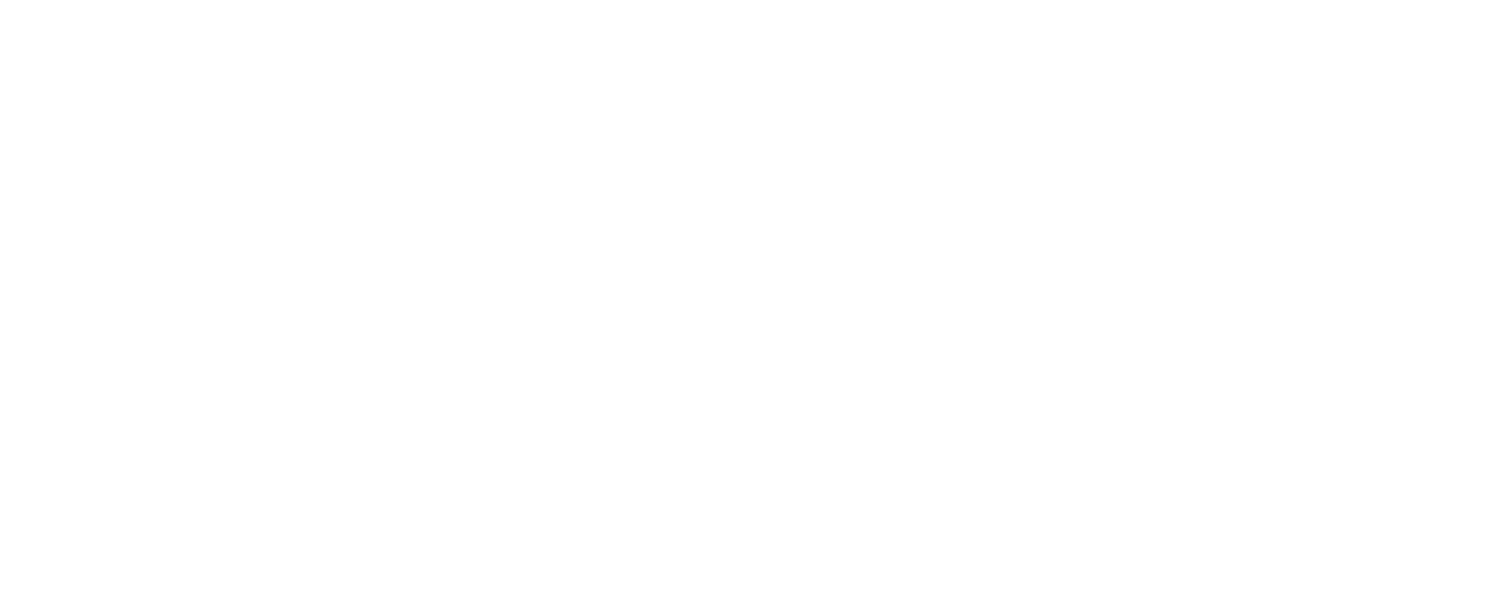VIDA_Logo_White